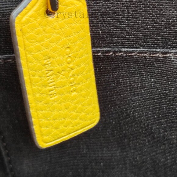 Coach Brown Snoopy and Woodstock Tote - Picture 6 of 11